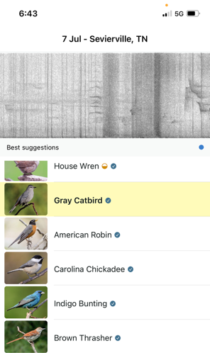 6 bird songs/calls ID'd by Merlin app