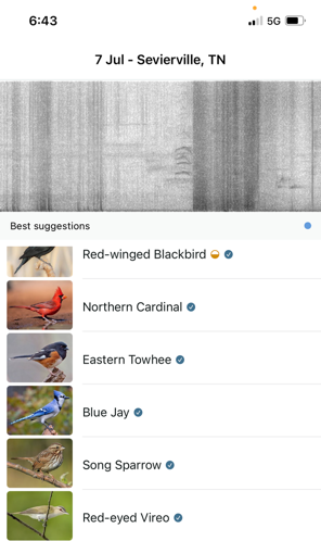 6 more birds ID'd by my Merlin app