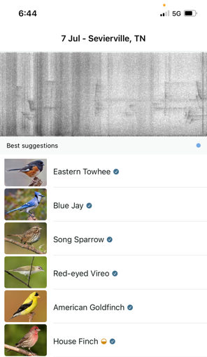 Different time stamp for these 6 bird songs recognized by the Merlin app