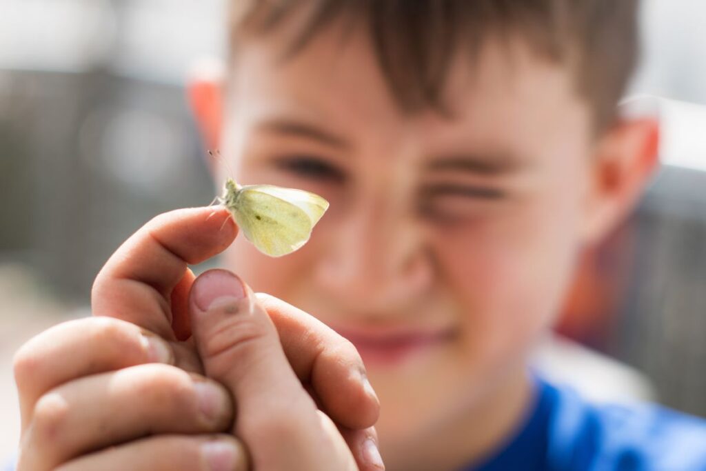 A boy is squinting at a small greenish butterfly perched on his finger.