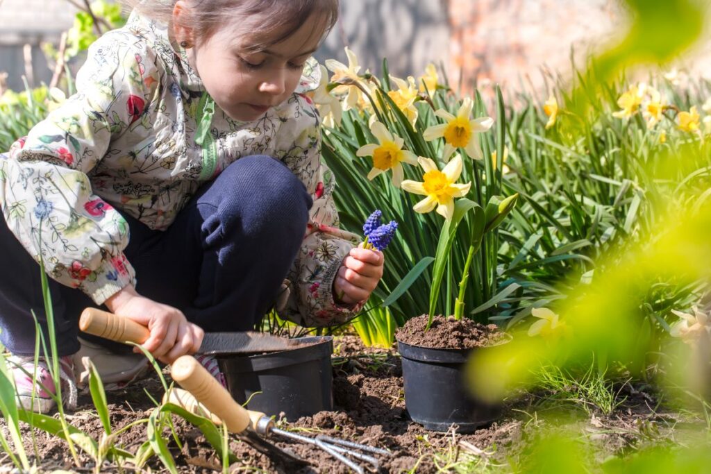 A young girl is planting flowers in a garden.