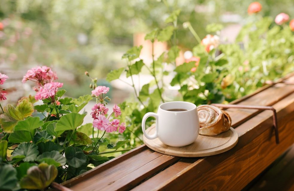 A cup of coffee and cinnamon roll sitting on a porch railing overlooking pink geraniums.