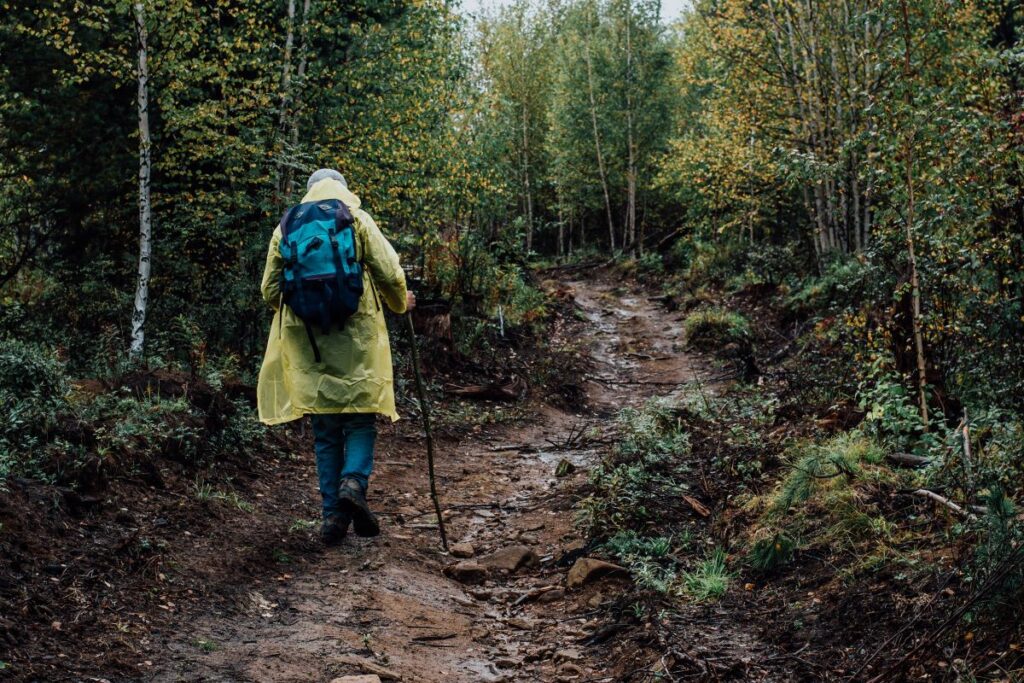 A person in a yellow raincoat and blue backpack hikes along a wet dirt trail in the forest, using a hiking stick.