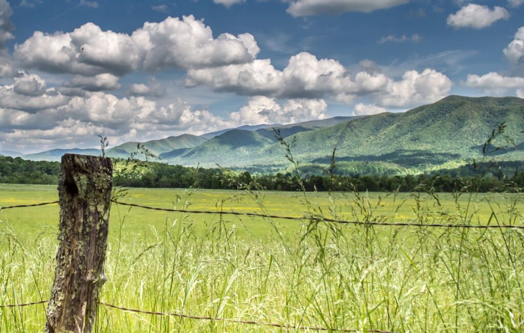 A view over a meadow looking at the distant mountains in Cades Cove, Great Smoky Mountains National Park in Tennessee.