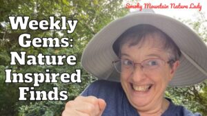 Weekly Gems: Nature Inspired Finds - Smoky Mountain Nature Lady