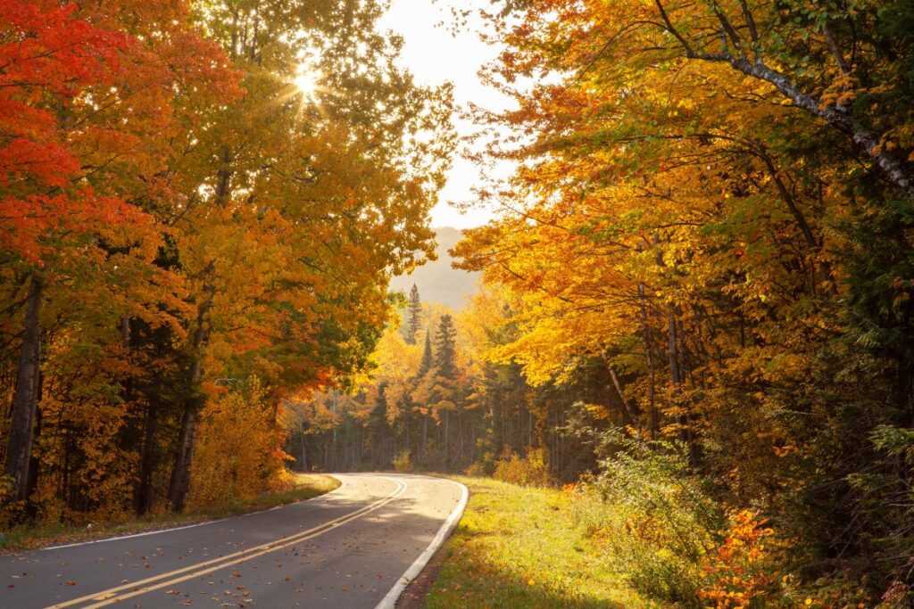 A curved road in the mountains, with colorful leaves showing on the trees on each side.