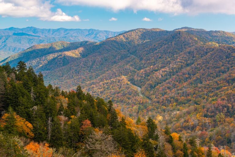 Great Smoky Mountains National Park fall view