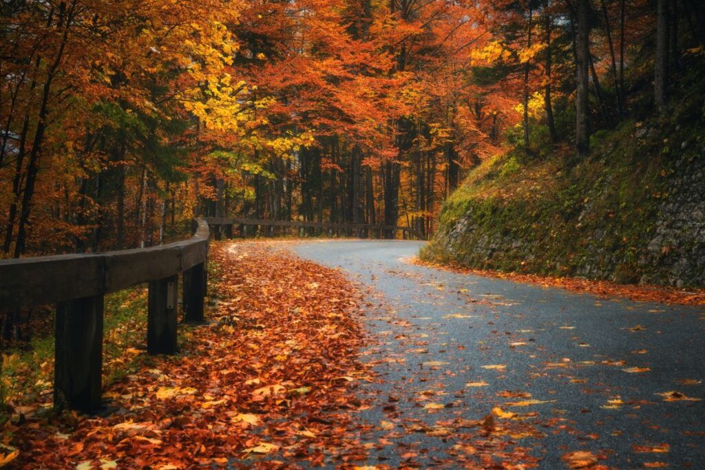 A mountain road in the fall with brilliantly colored leaves on the trees and on the road.